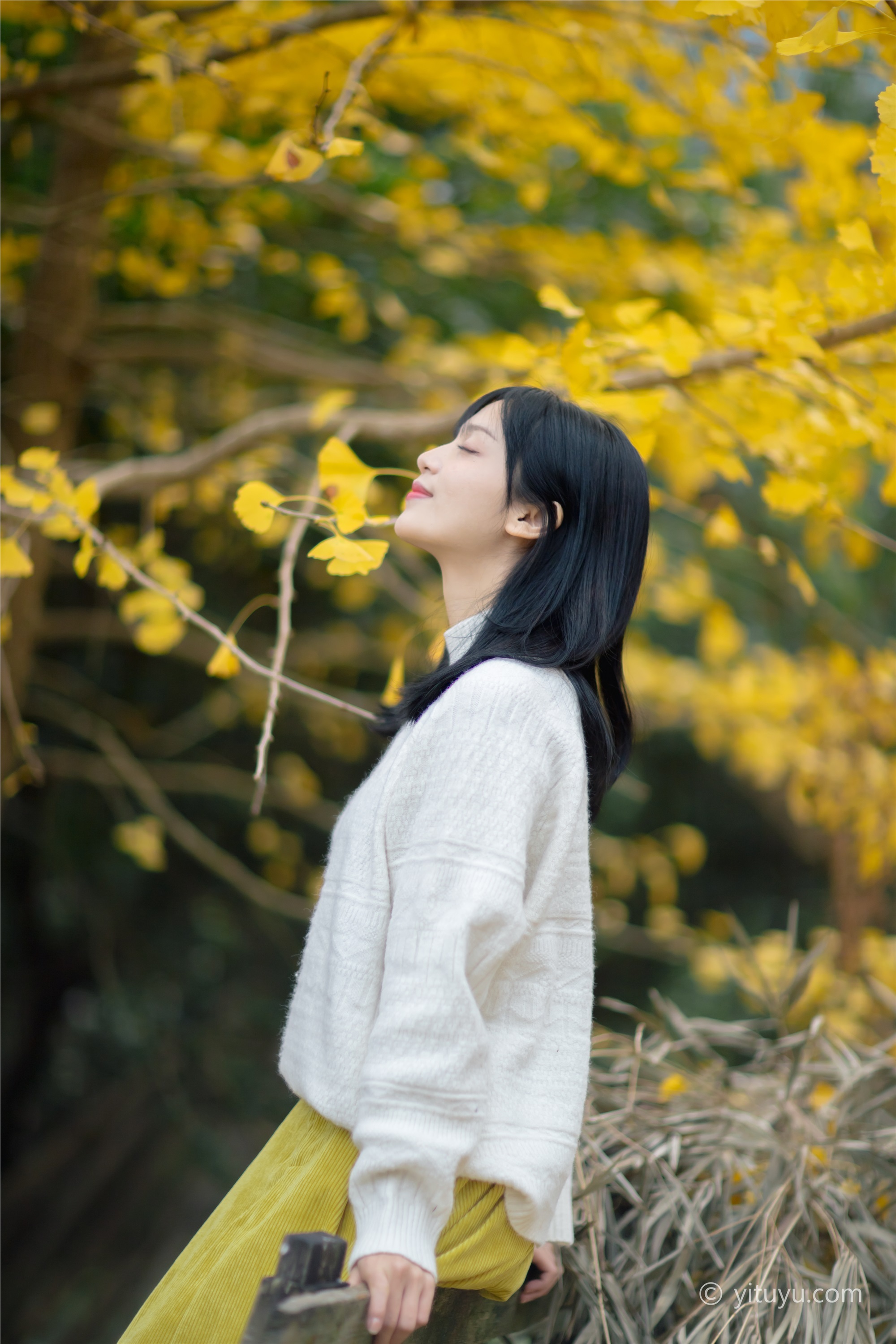 YITUYU艺图语 2021.08.14 银杏之恋 雨文